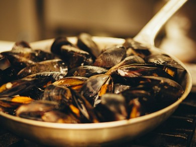 コースのラインアップが充実