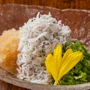 「釜揚げちりめん」とも呼ばれます。新鮮なイワシの稚魚を程よい塩加減、ゆで加減で釜揚げにしました。ふわふわでぷりぷりっとした食感をご堪能ください。