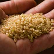 厳選玄米を、その日のゲストの分だけ自家精米