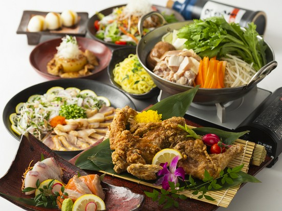 あや鶏 熊本下通り店 熊本 居酒屋 のグルメ情報 ヒトサラ