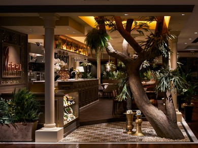 お食事に合わせてワインはいかがでしょうか