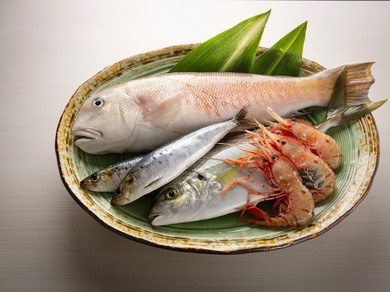 東京都の和食おすすめグルメランキング トップ50 ヒトサラ