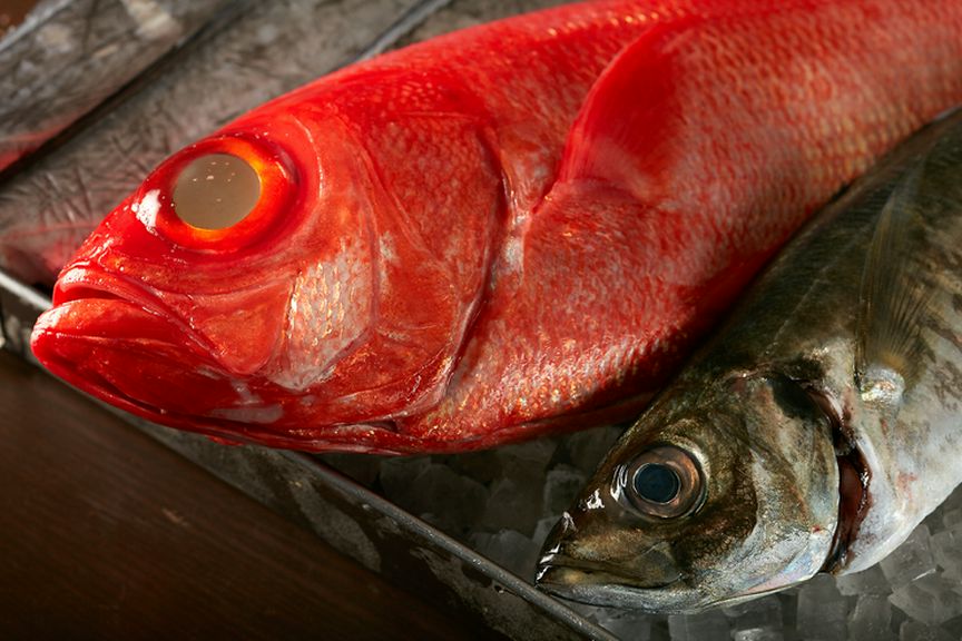 環境に配慮しつつ仕入れた、鮮度抜群の魚介類