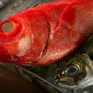 「大量生産、大量消費をやめ、海の生態系に配慮して捕獲した食材をつかう」。そんな思いから信頼のおける仲卸と電話やSNSを使ってコンタクトをとり、おいしく、かつ環境にも思いやりを持った食材を仕入れています。