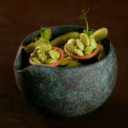 季節野菜のフィンガーフードは味付けが控えめで、食材をそのまま丸ごと食べているかのようなフレッシュな味わい。夏の風物詩・枝豆をつかったタルトは、ほんのりとした甘みが口の中いっぱいに広がります。