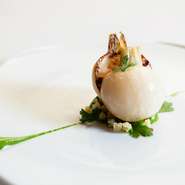 このカブの料理は、10年前から一切スタイルを変えず、季節を問わずにお客様に食べていただいている料理。過去の記憶にコネクトし、季節による味の違いを感じ、素材自体に興味を持っていただくことが狙いです。