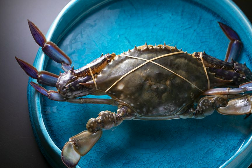 さまざまな料理で光を放つ上質な瀬戸内のワタリガニ