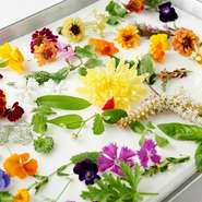 野菜を送ってもらっていた奈良県の「山口農園」さんの方々に、野山に咲く食べられる花を教えてもらったことがきっかけで、タルト用に野生の食用花を依頼。高知県などから日本古来のハーブも取り寄せています。			
