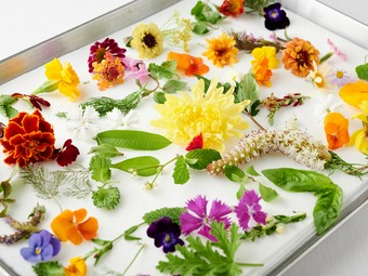 デザートに使う花々は、日本各地の里山から摘まれて届けられます