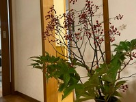 水戸市に隣接している地域は配達可能です（水戸市、ひたちなか市、那珂市、城里町、笠間市、茨城町、大洗町）。