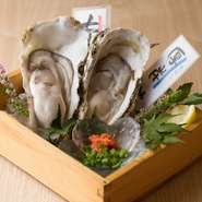 牡蠣の美味しい産地は、季節や地域の天候などにより常に変化します。当店では自信を持ってお出しできる牡蠣しか提供いたしません。赤羽で牡蠣を食べるなら是非当店へお越しください。