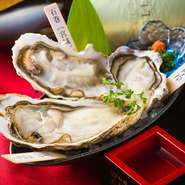 当店名物【味比べ生牡蠣2種】
仕入れにこだわりサイズ、味、質の良い牡蠣を3種類から2種を選択し味比べでご提供させていただきます。

料理長が一から作り上げた秘伝の自家製ポン酢でお召し上がりいただけます。


