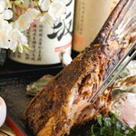 牡蠣かき屋宴会のご案内

※宴会コースには120分の飲み放題付きです
