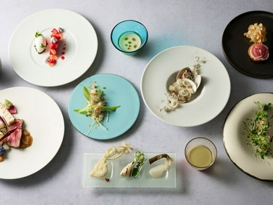 厳選された食材のスペシャルコース