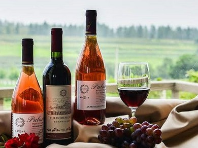 料理に合う赤・白・スパークリングのワインセット