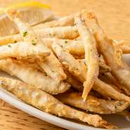 きびなごのフリット