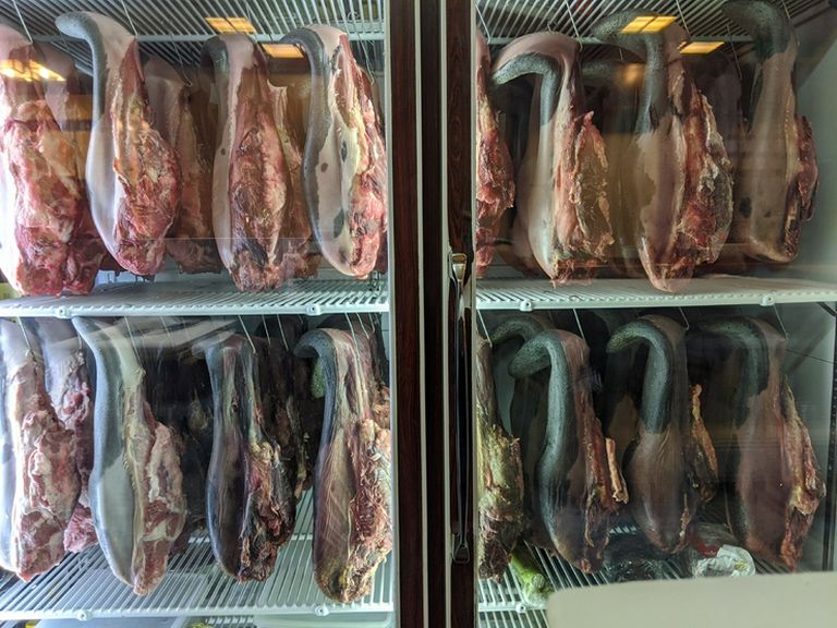 カウンター越しのガラスケースに釣られているタン。壮観だ