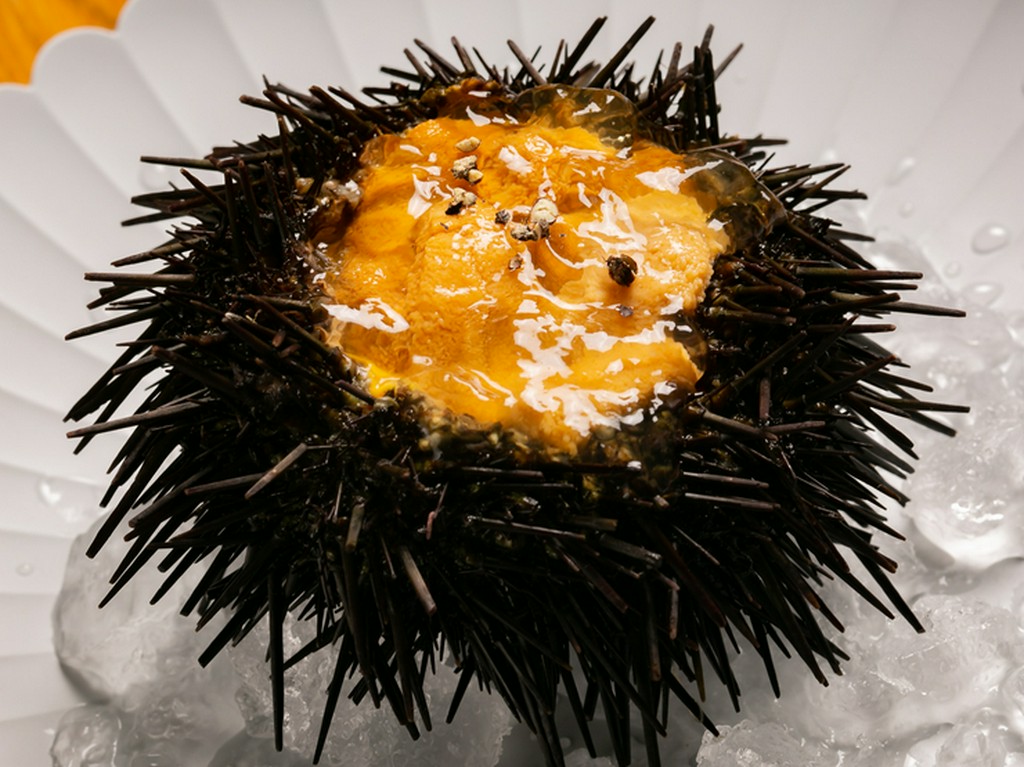 小平町の直送塩水ウニと人参のムース　と　深川の合鴨のコンソメのジュレ