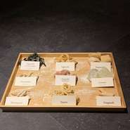 trattoriaLUPOのパスタは、国産の小麦を使い毎日手捏ねで生地を作っています。時間をかけて作った手打ちパスタならではの弾力とモチモチした食感、香りなど様々な個性のパスタをお楽しみ下さい。