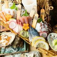 お得で人気！　旬の鮮魚をリーズナブルに楽しめる『刺身7種盛り合わせ　海皇』