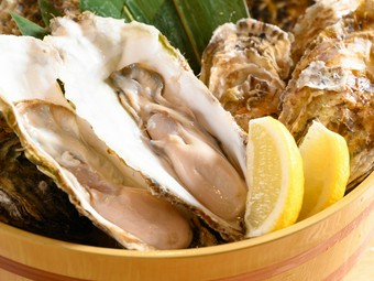 北海道の名物生牡蠣『仙鳳趾産の牡蠣』