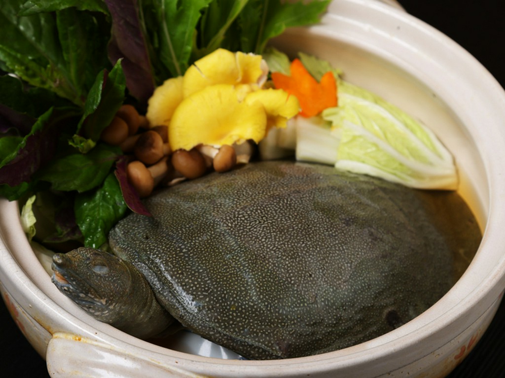 滋味深いおいしさを堪能できる『スッポン鍋コース』