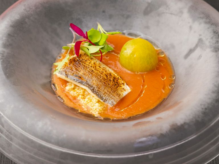 のど越しがよく栄養満点!『ガスパチョに炙りカマスをのせて』