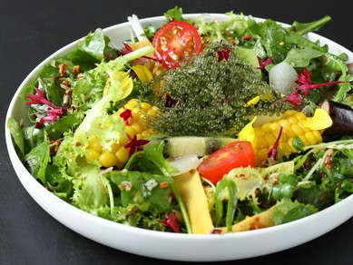 約35種類の食材を盛り込んだ食べるサプリメント『detox salada(香りのチョイス 葱or山椒)』