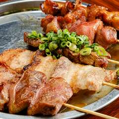 店一押しの豚串を満喫『串盛り合わせ ぶた』