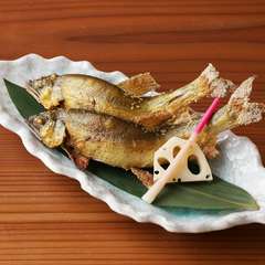 旬の魚を味わう『季節の焼き魚』