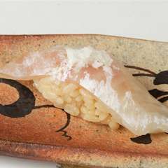 鯛の昆布締め