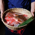 【ゴエモン】では日本橋魚河岸時代（明治２２年）から１２０年続く、築地の水産仲卸「株式会社堺周商店」から仕入れた新鮮な魚のみを使用しております。