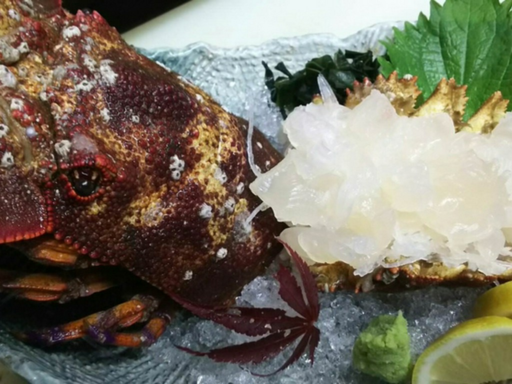 毎朝直送！新鮮魚介！