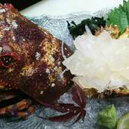 魚は漁港に毎朝出向いて良い物だけを仕入れ！新鮮そのものなお味を是非ご堪能下さい！