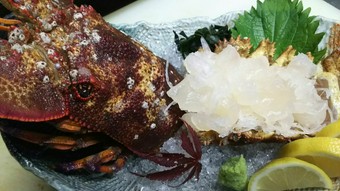 生簀活魚造り　蝉海老