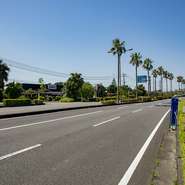 「宮崎空港」から南へ車で約10分。ズラリと立ち並ぶフェニックス（ヤシの木）が観光客を見守る、220号線沿いにあるお店。海と大空をたっぷり楽しめる、ロケーションも見どころです。
