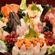 漁港から直送の魚は、ともかく新鮮！店内にある6つの水槽や生簀で泳いでいる魚は、店の調理場で活け締めしています。まだ生きているイカは、さばいても足が動いていて、身も透き通っています。