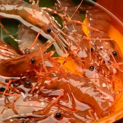 漁港直送なので鮮度抜群。北海道の美味しさをギュッと詰め込んだ『活ボタン海老踊り』