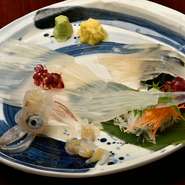 店内の水槽で泳いでいるイカをさばいているので鮮度抜群です。身が透き通っていて、コリコリ、ぷりぷりした歯ごたえがたまりません。イカの種類は時期により異なり、種類に合わせて切り方も変えています。