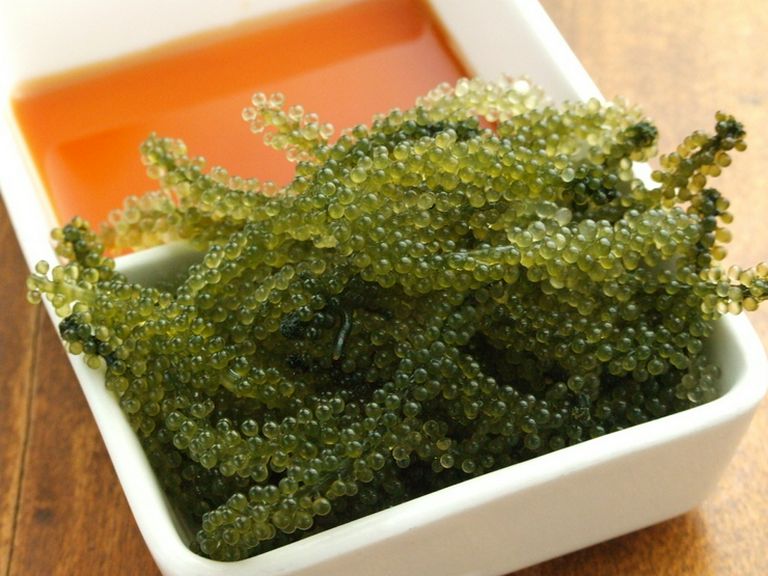 プチプチ海ぶどう
