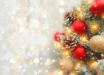 [12/23～12/25限定]電話予約のみ クリスマス ディナーコース(お料理のみ)[2名様から／お一人様 13000円]