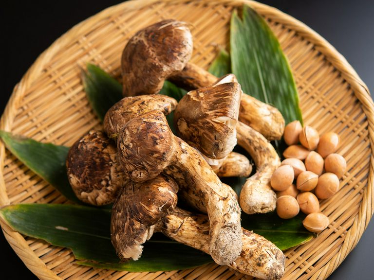 素材本来の味を大切に表現した、季節を感じる日本料理