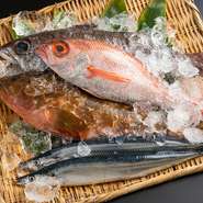 日本海などから直送で仕入れる魚介類は、お造りを筆頭に、食材とだしの味を際立たせる調理法で。身体に優しい薄味に仕上げられています。食材の宝庫・日本ならではの山海が育む食材に出合えます。


