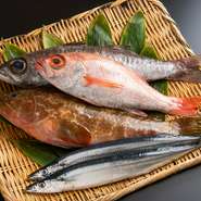 日本海の新鮮な魚を産地直送で仕入れ。刺身や焼き物などで味わえます。確かな目利きで吟味した旬の魚は、ほどよい脂と柔らかい身が特長。口に入れた瞬間とろける旨みが広がります。