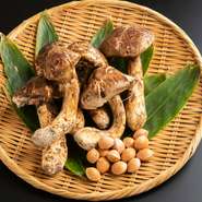 秋の味覚・松茸は、四季の移り変わりを感じる食材の一つ。特上の土瓶蒸しや焼松茸、すき焼きで堪能できます。