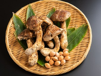 旬の贅沢な食材を極上の一品に『松茸』