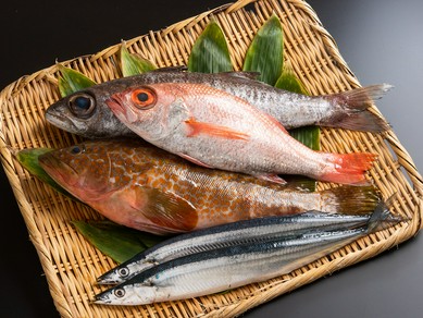 四季折々の新鮮な魚介をこだわりの調理法で仕上げ『鮮魚』