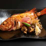北海道オホーツク海産の一本釣りキンキを仕入れ。食材の旨みを引き出すことに注力し、煮付けで仕上げています。口の中でふっくらほどけるような白身魚の味わいを心ゆくまで堪能して。