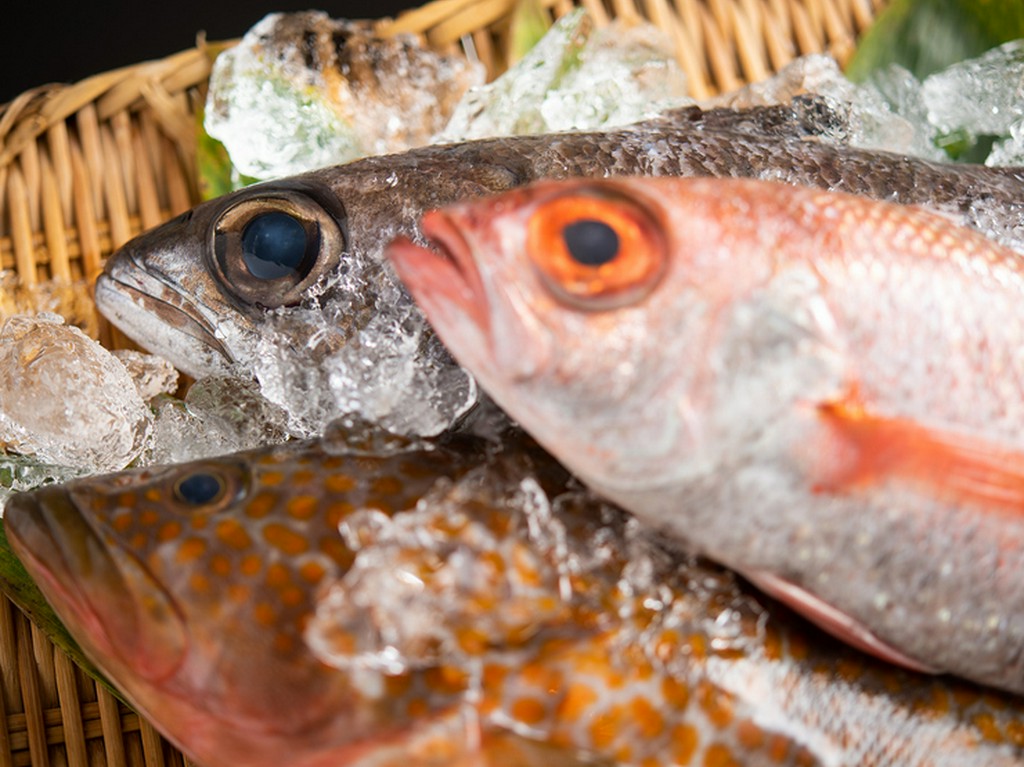 品質を見極め買い付ける、隠岐牛や日本海で水揚げされる魚介