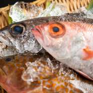 鳥取県の境港をはじめ日本海から産地直送で仕入れる魚は、刺身や焼き物などの一皿に。野菜や肉も、確かな目利きで吟味されています。『隠岐牛のワイン煮』や『松茸の土瓶蒸し』なども評判。